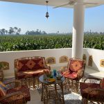 TRAVEL TO EGYPT (17)